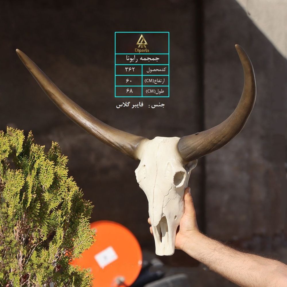 191.jpg سردیس جمجمه رابونا - Image 1