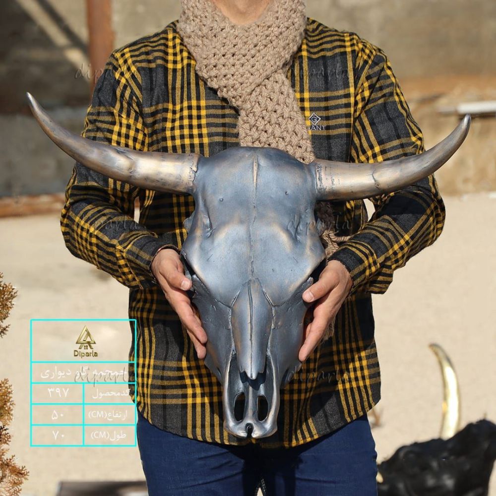 224.jpg جمجمه گاو دیواری - Image 1