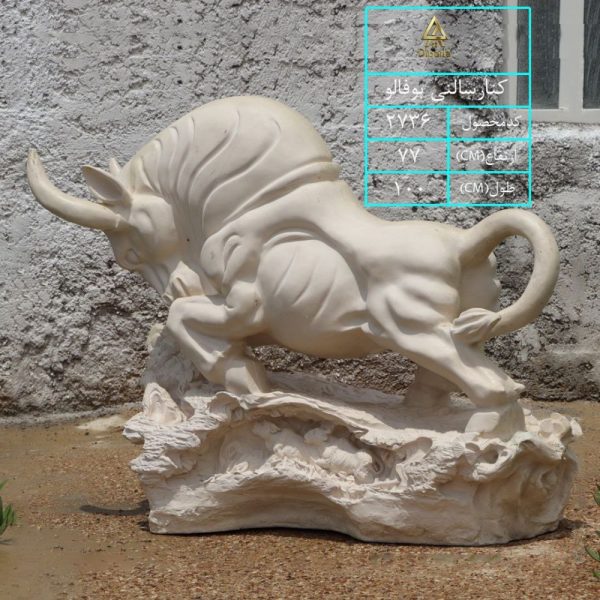 بوفالو کنار سالنی