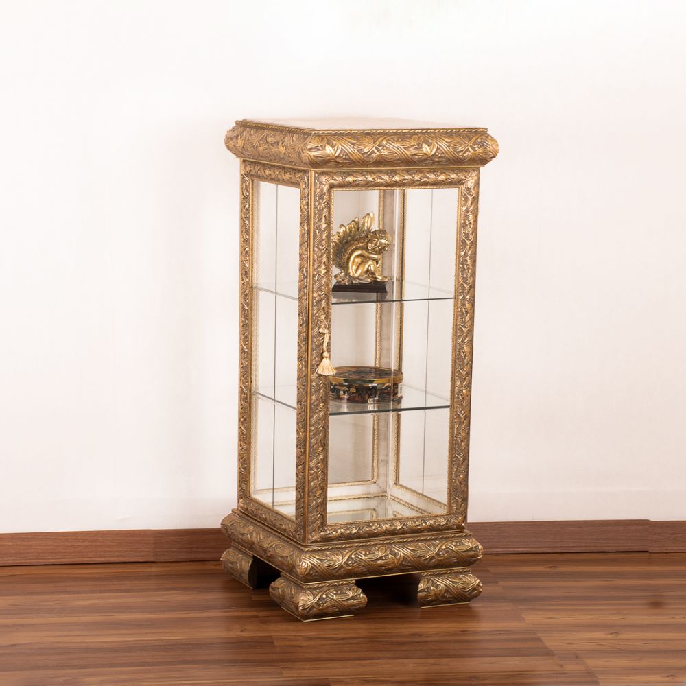 DSC_0313.jpg ویترین هوربات - Image 1