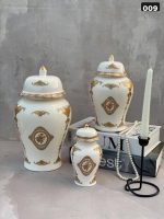 جینجر جار زمینه سفید - Image 9